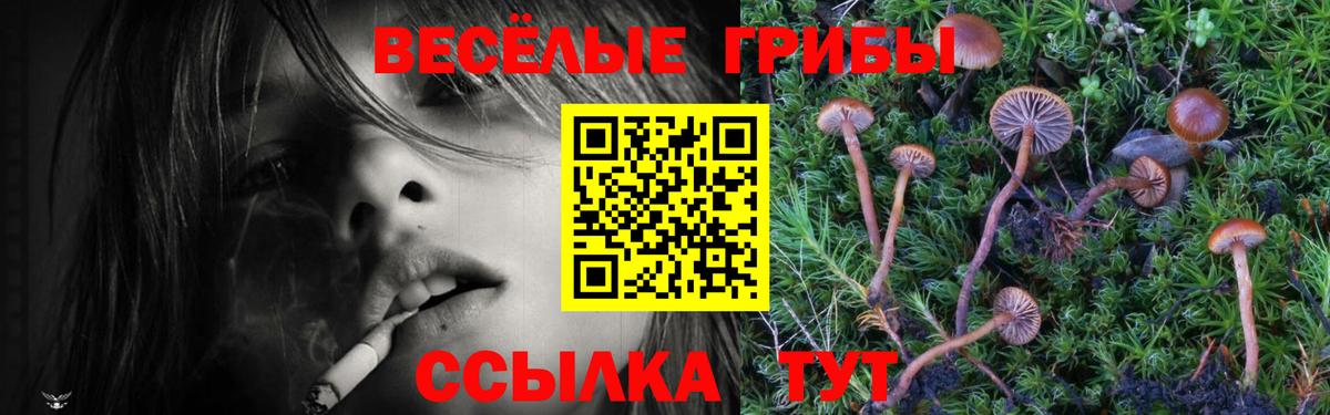 Галлюциногенные грибы мицелий Светлоград